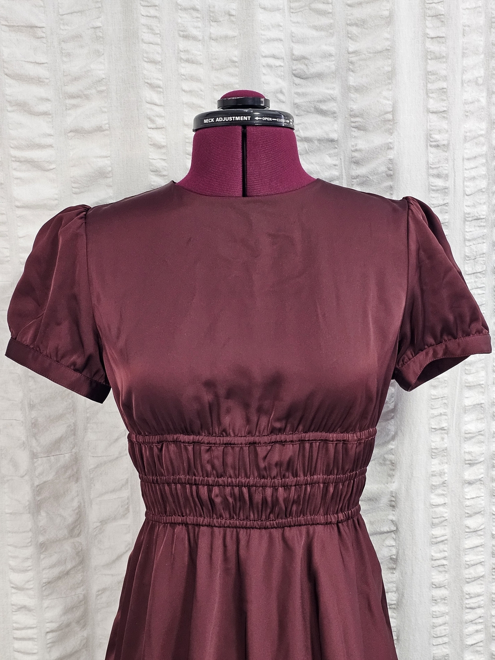 Aritzia Sunday Best Anderson Short Babydoll Puff-Sleeve Smocked Waist Dress - Picture 9 of 15